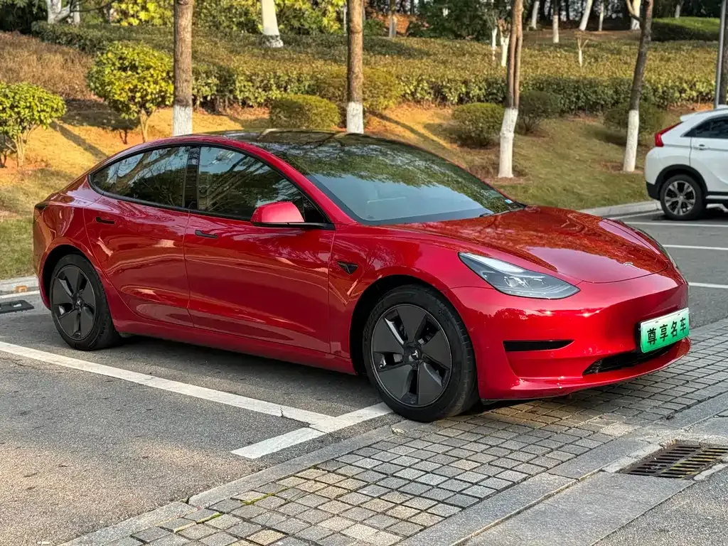 Tesla Model 3 2021 из CN, фото 3