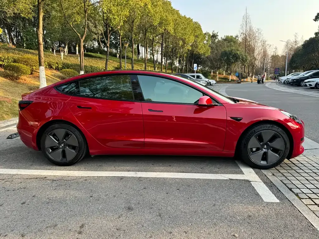 Tesla Model 3 2021 из CN, фото 9