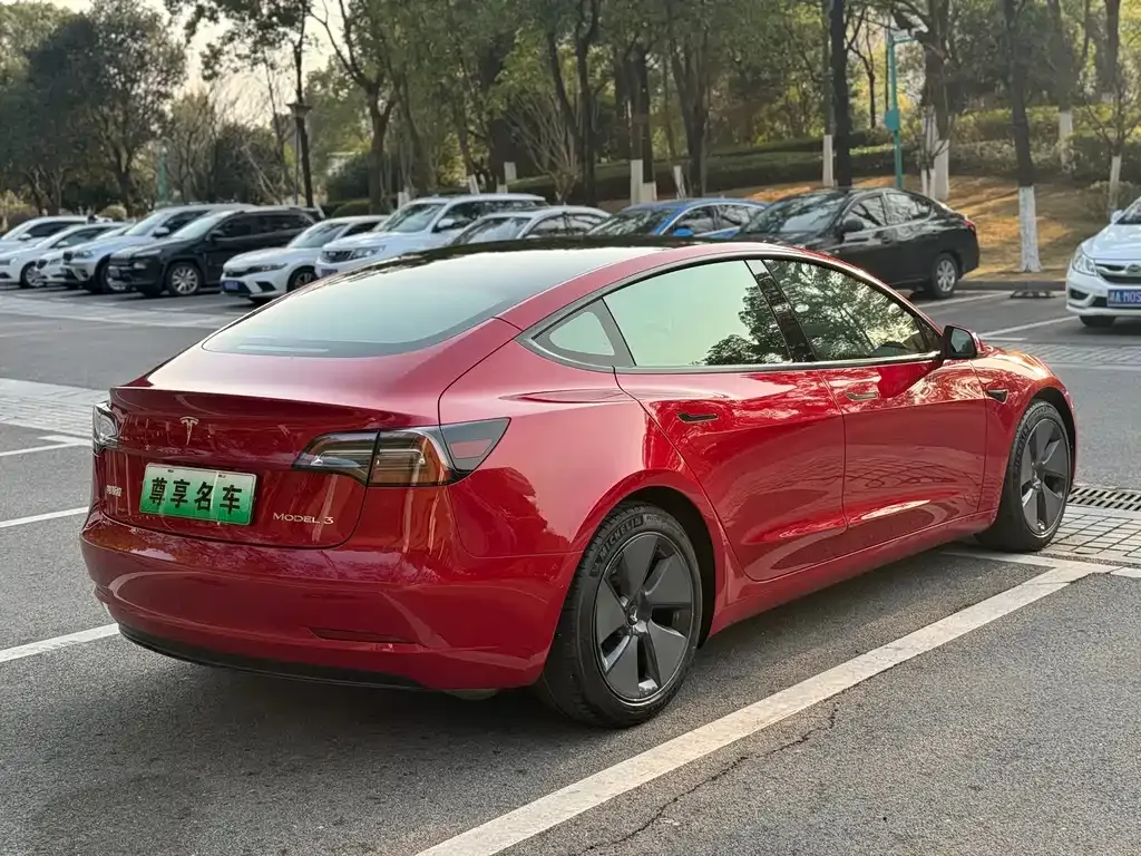 Tesla Model 3 2021 из CN, фото 2