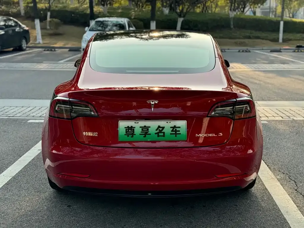 Tesla Model 3 2021 из CN, фото 7