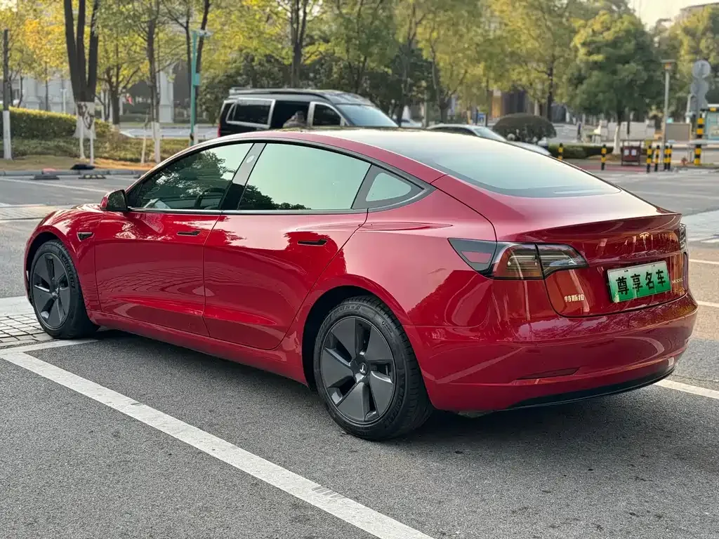 Tesla Model 3 2021 из CN, фото 4