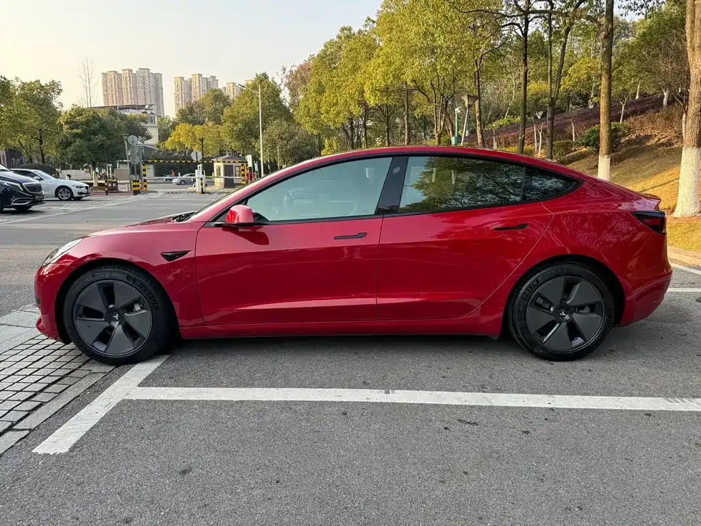 Tesla Model 3 2021 из CN, фото 8