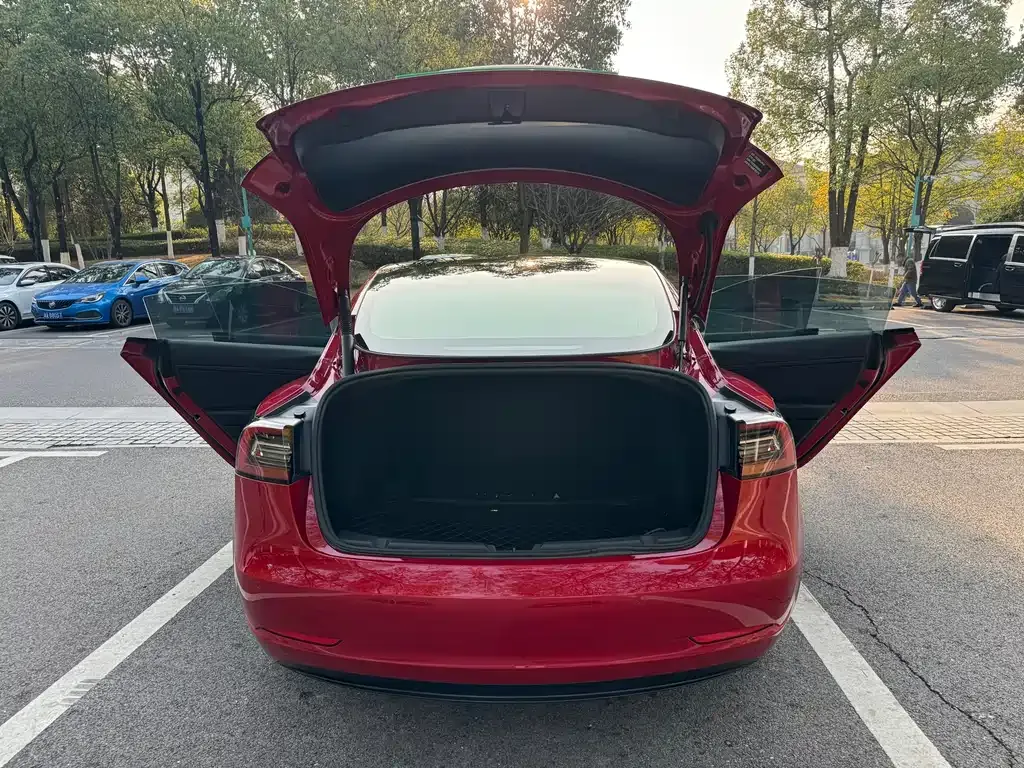 Tesla Model 3 2021 из CN, фото 6