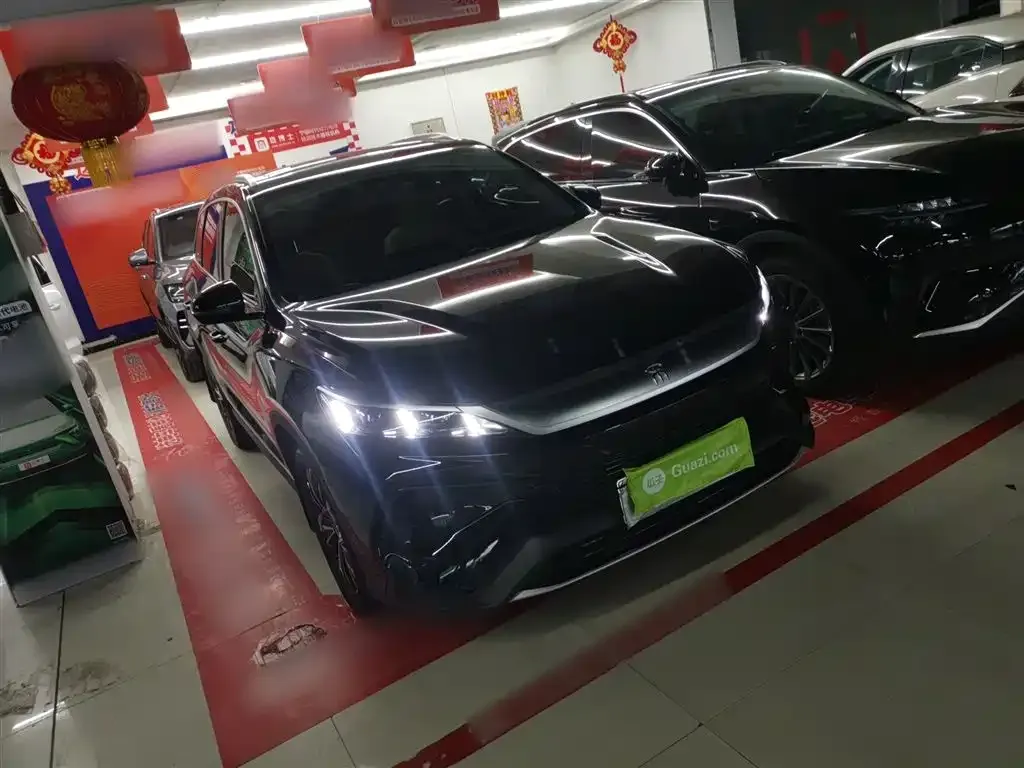 BYD Pro New Energy 2025 из CN, фото 8