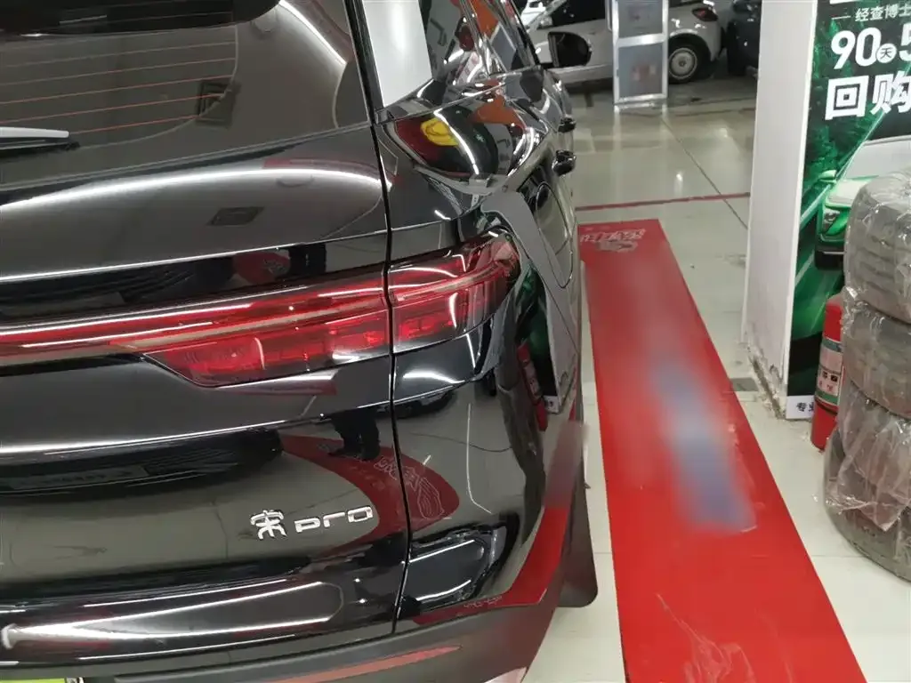 BYD Pro New Energy 2025 из CN, фото 2