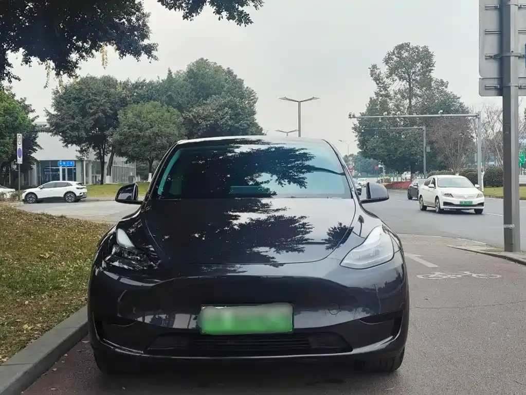 Tesla Model Y 2024 из CN, фото 8