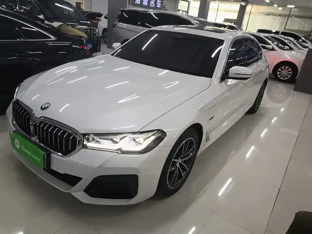 BMW 5 Series New Energy 2022 из CN, фото 3