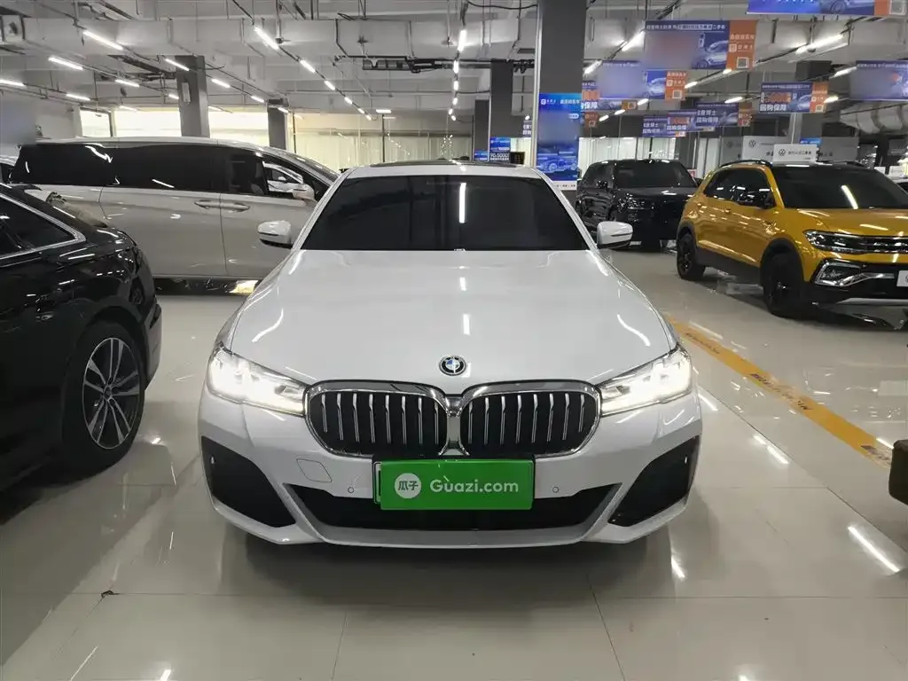 BMW 5 Series New Energy 2022 из CN, фото 7