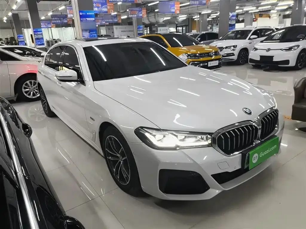 BMW 5 Series New Energy 2022 из CN, фото 8