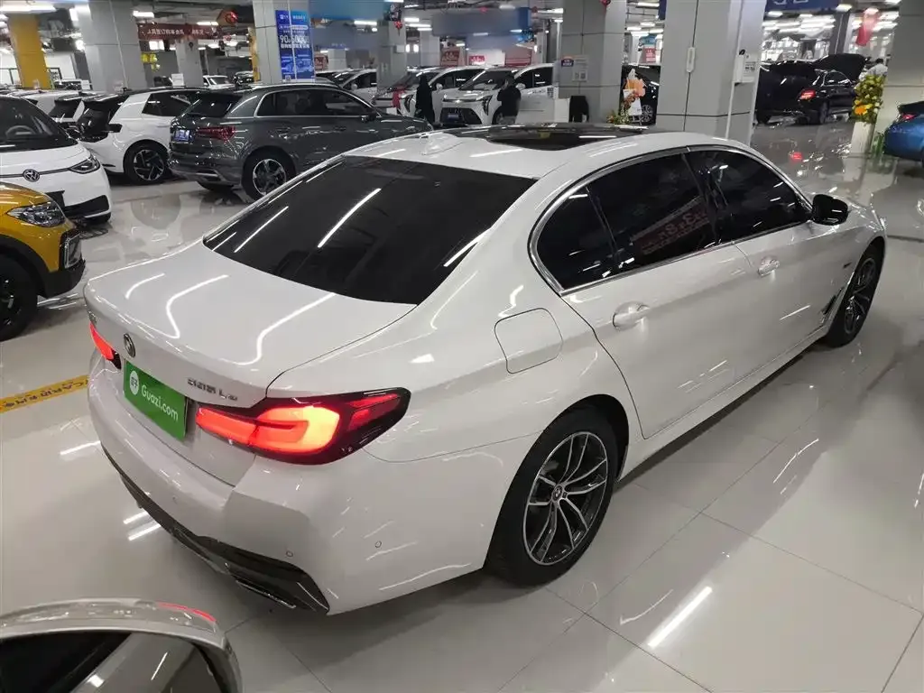 BMW 5 Series New Energy 2022 из CN, фото 2