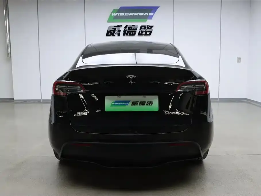 Tesla Model Y 2023 из CN, фото 5