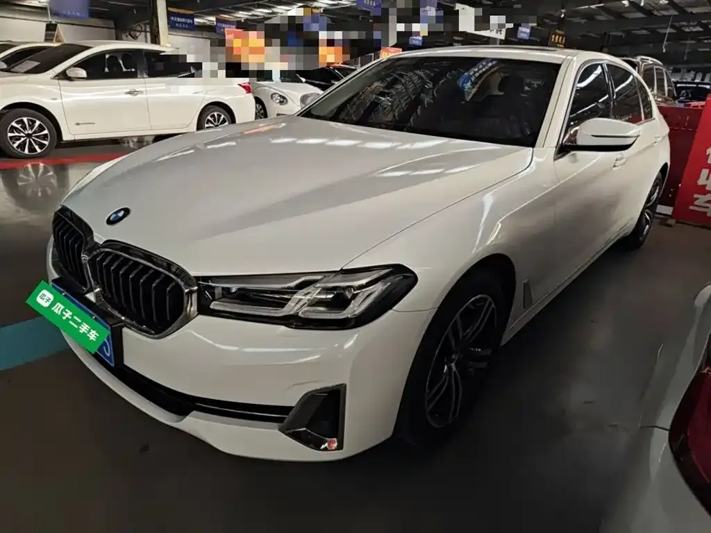 BMW 5 Series 2022 из CN, фото 8