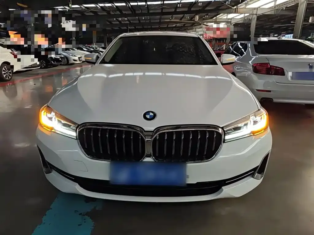 BMW 5 Series 2022 из CN, фото 5