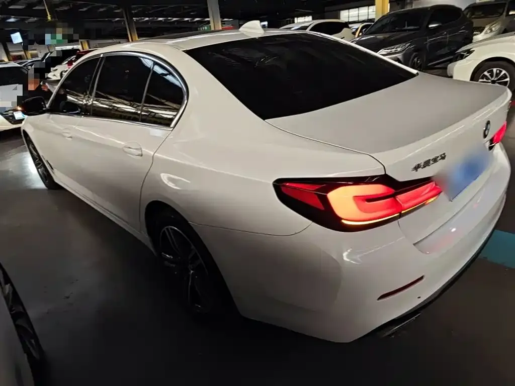 BMW 5 Series 2022 из CN, фото 7