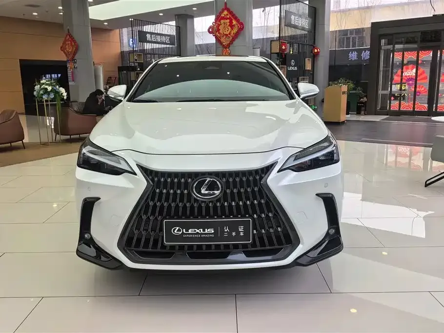 Lexus NX New Energy 2025 из CN, фото 9