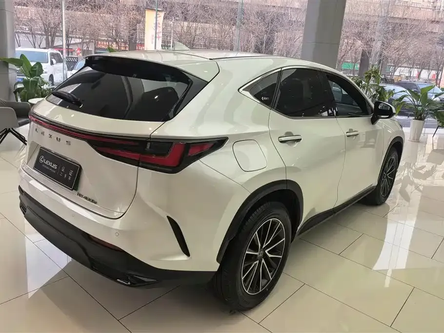 Lexus NX New Energy 2025 из CN, фото 3