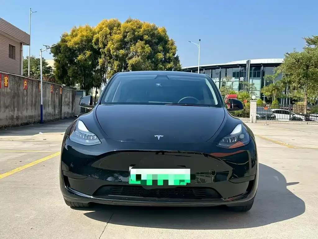 Tesla Model Y — фото 6