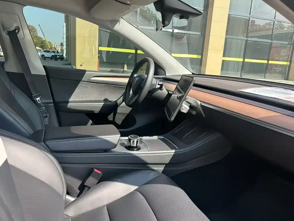 Tesla Model Y — фото 2