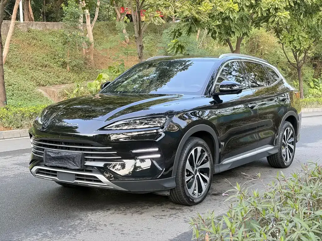 BYD PLUS New Energy 2024 из CN, фото 1
