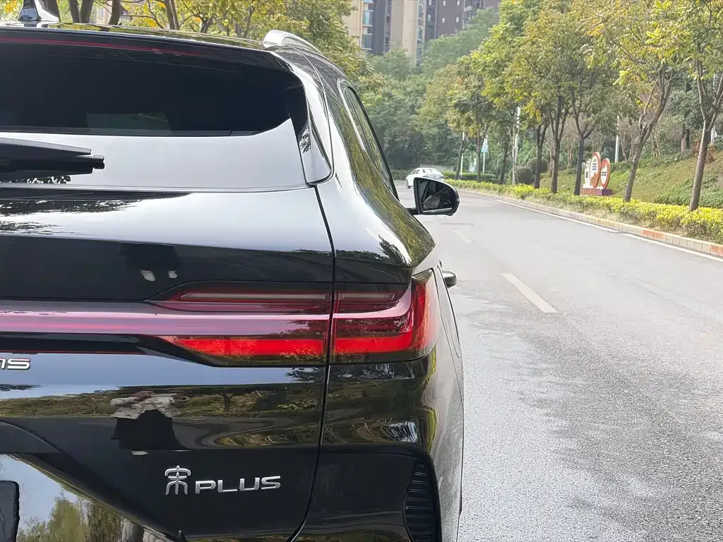 BYD PLUS New Energy 2024 из CN, фото 9