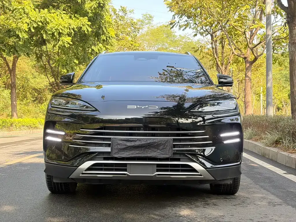 BYD PLUS New Energy 2024 из CN, фото 3