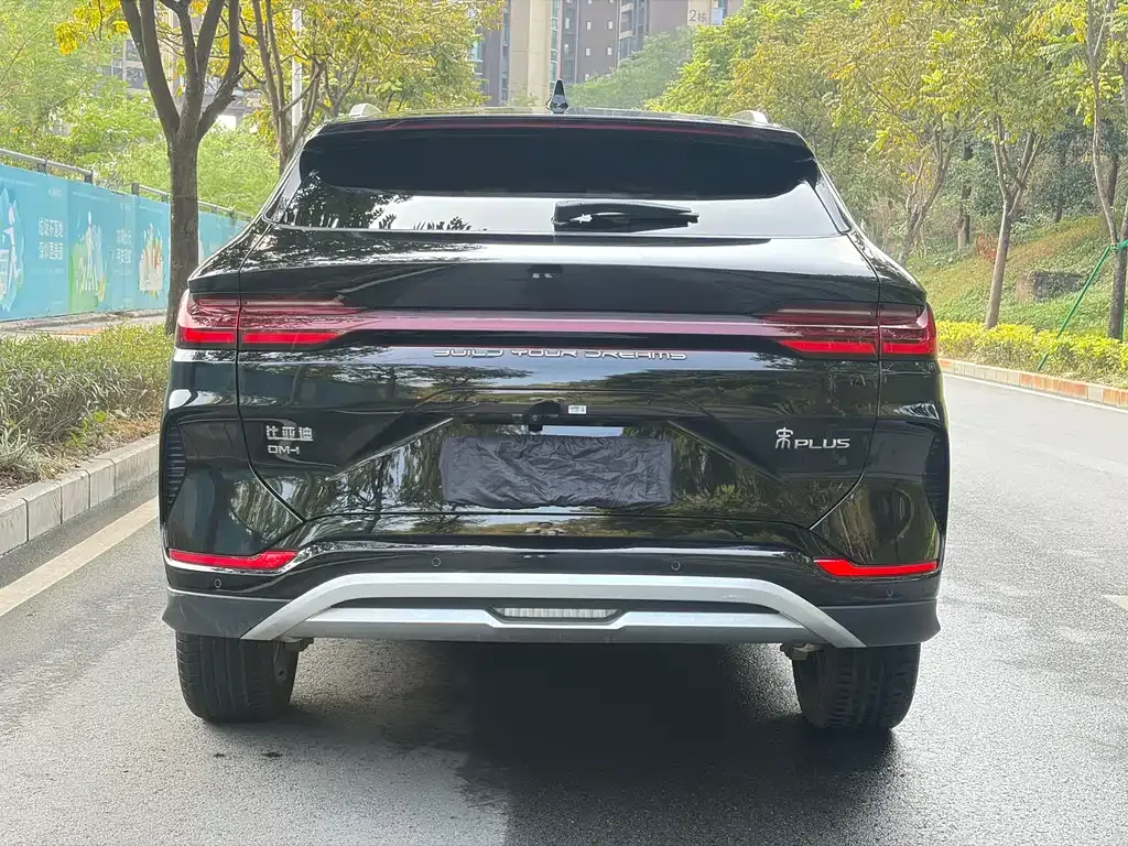 BYD PLUS New Energy 2024 из CN, фото 4