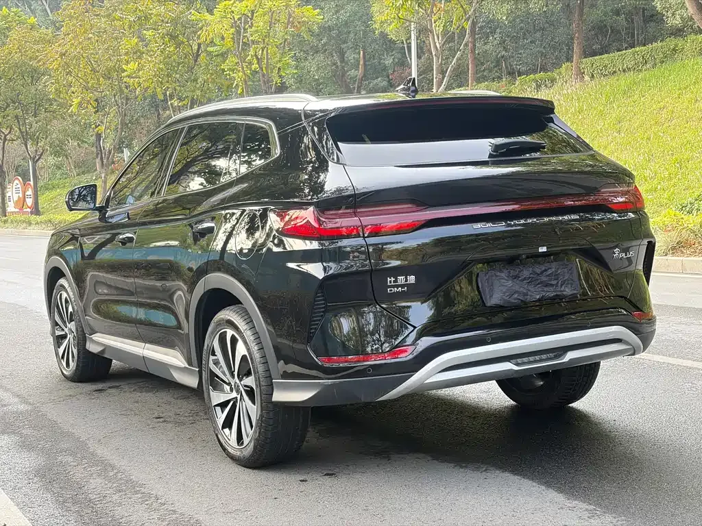BYD PLUS New Energy 2024 из CN, фото 8