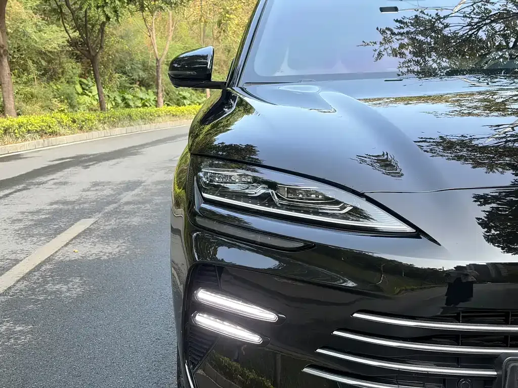 BYD PLUS New Energy 2024 из CN, фото 10