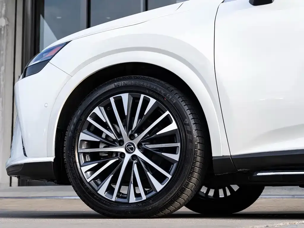 Lexus RX New Energy — фото 10