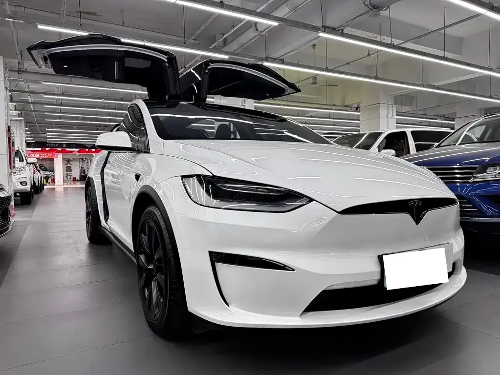 Tesla Model X — фото 5