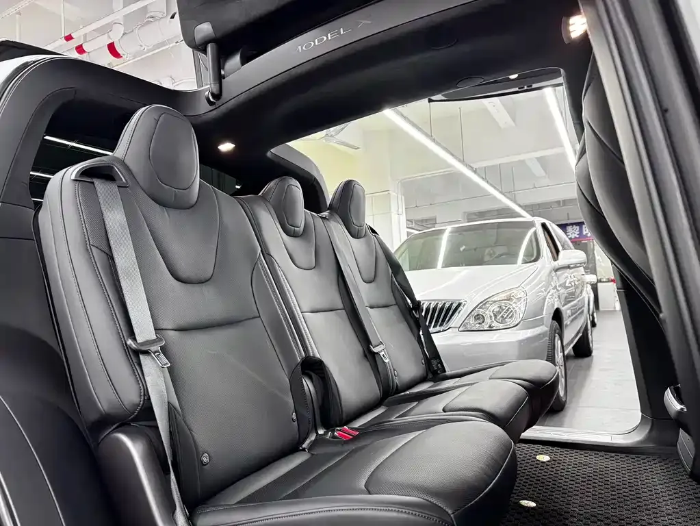 Tesla Model X — фото 4