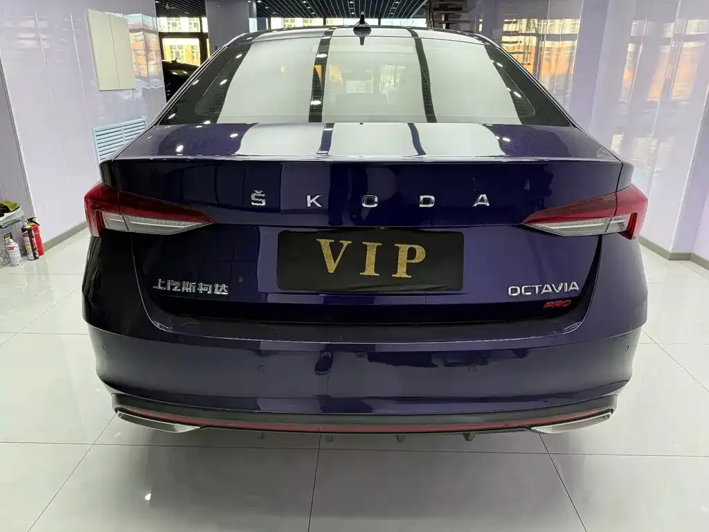 Skoda Octavia 2021 из CN, фото 3