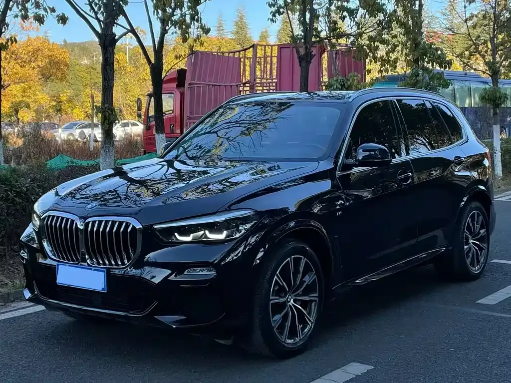 BMW X5 (Import) 2021 из CN, фото 1