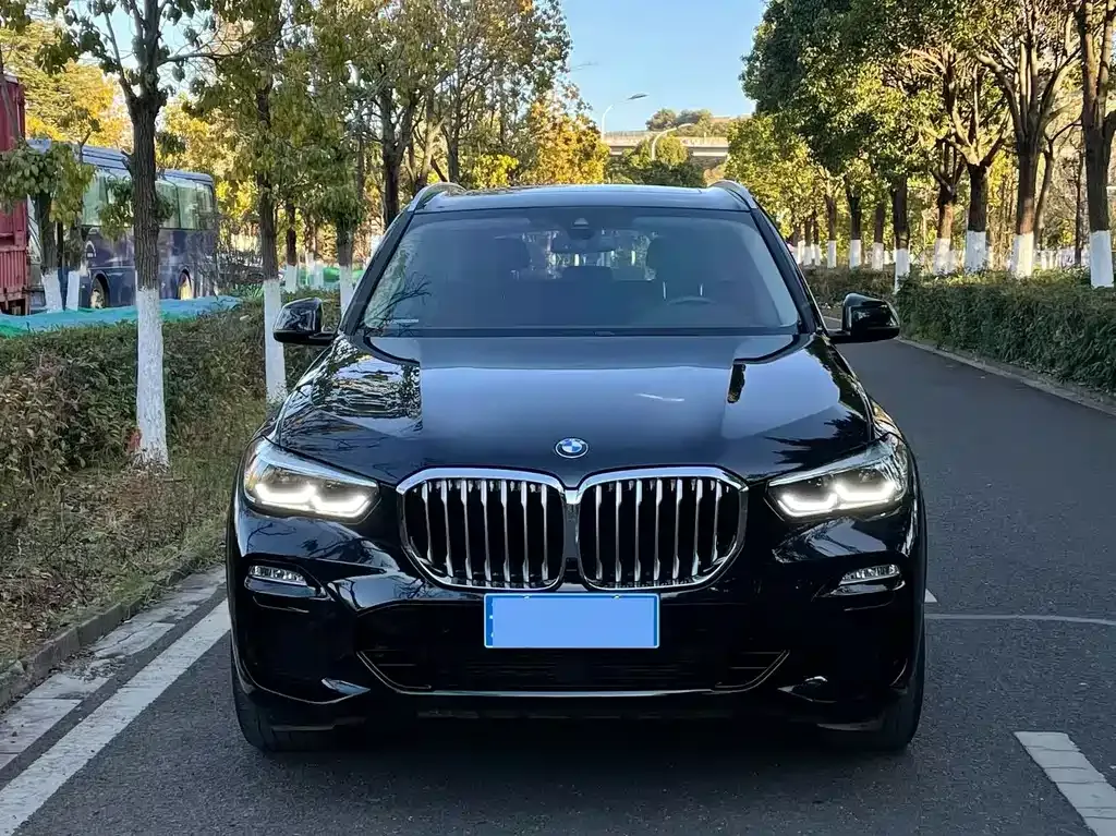 BMW X5 (Import) 2021 из CN, фото 10