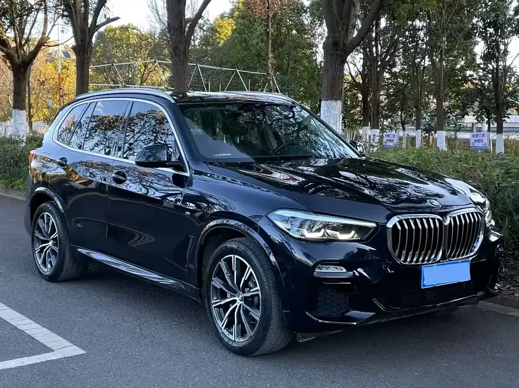BMW X5 (Import) 2021 из CN, фото 6