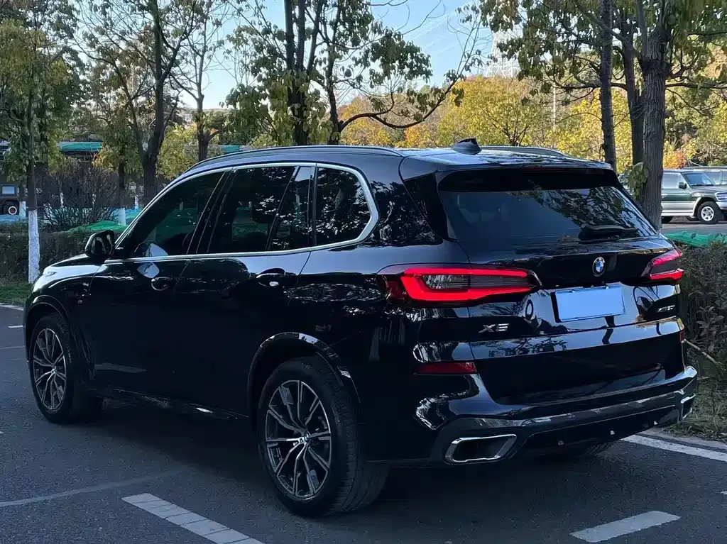 BMW X5 (Import) 2021 из CN, фото 4