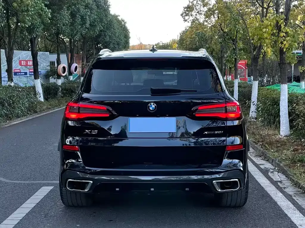 BMW X5 (Import) 2021 из CN, фото 5