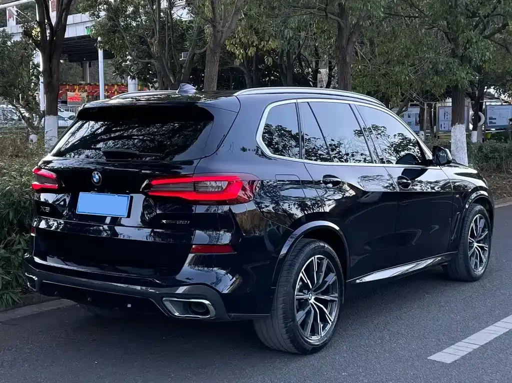 BMW X5 (Import) 2021 из CN, фото 9
