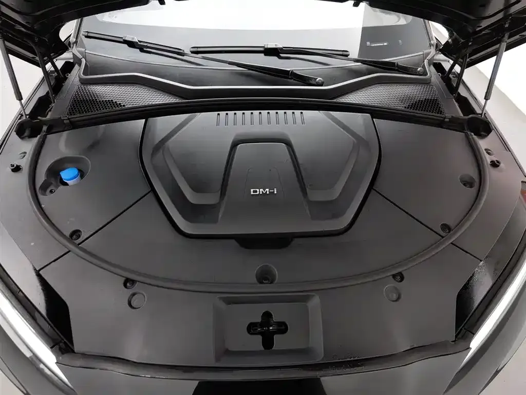 BYD PLUS New Energy — фото 8
