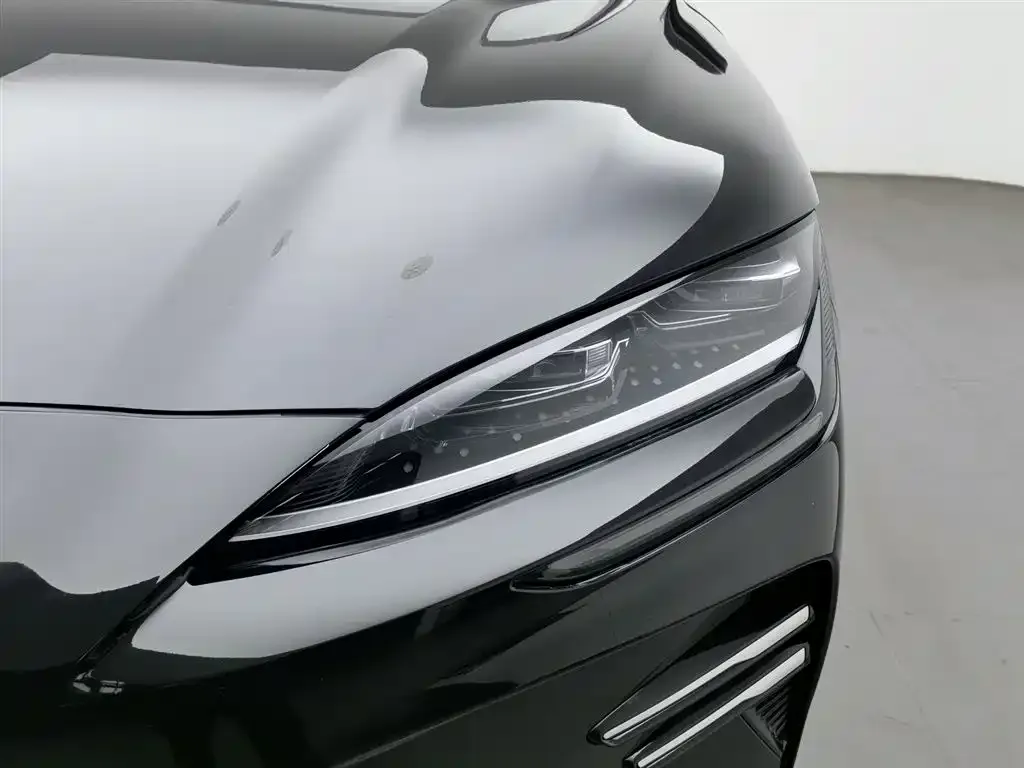 BYD PLUS New Energy — фото 10