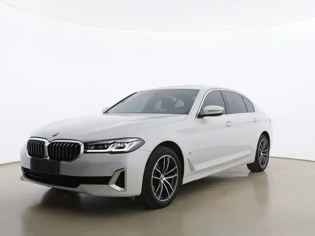 BMW 5 Series 2021 из CN, фото 1