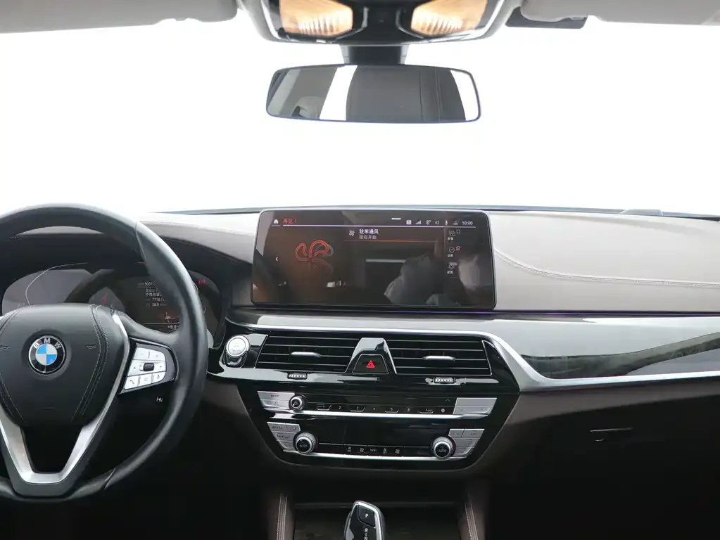 BMW 5 Series 2021 из CN, фото 9