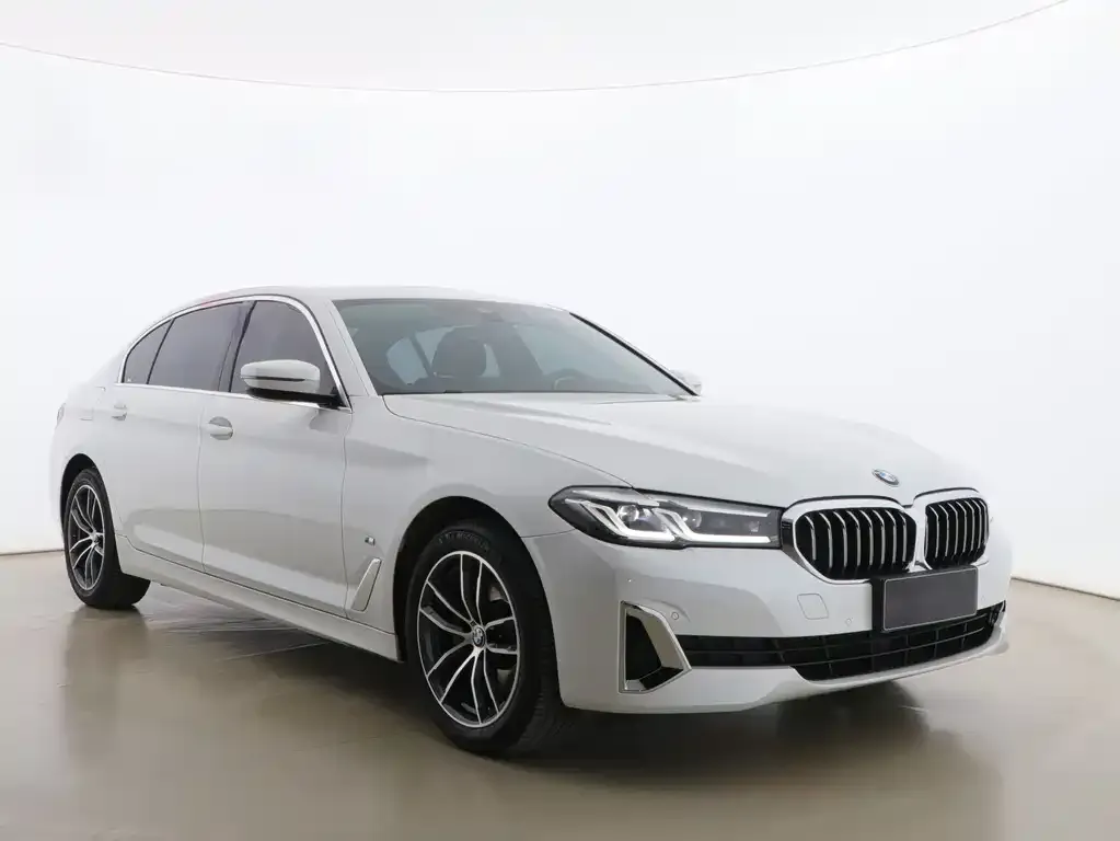 BMW 5 Series 2021 из CN, фото 2