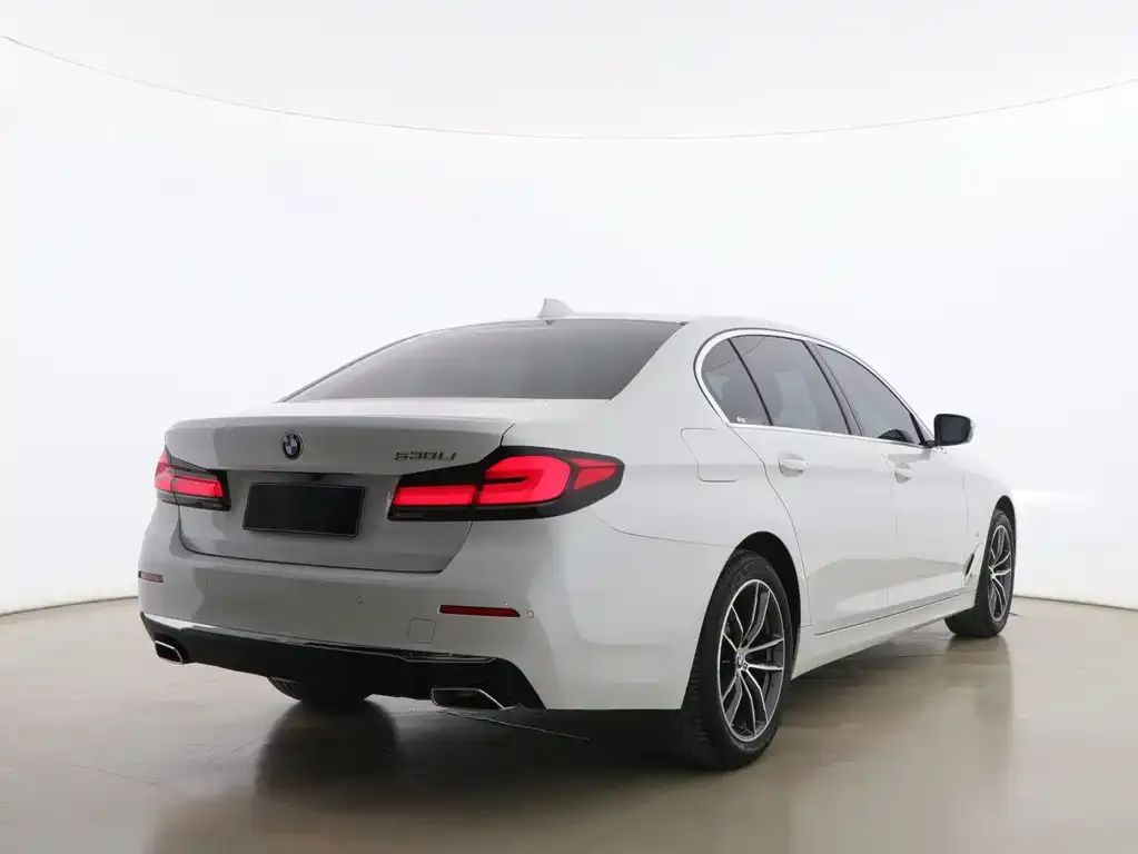 BMW 5 Series 2021 из CN, фото 4