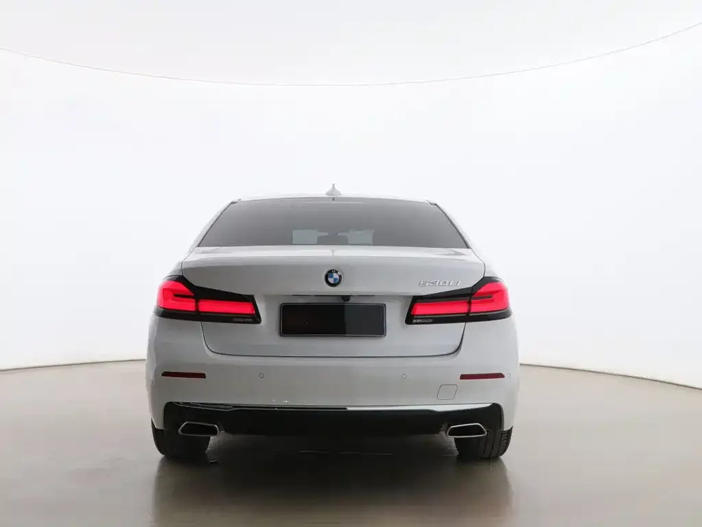 BMW 5 Series 2021 из CN, фото 3