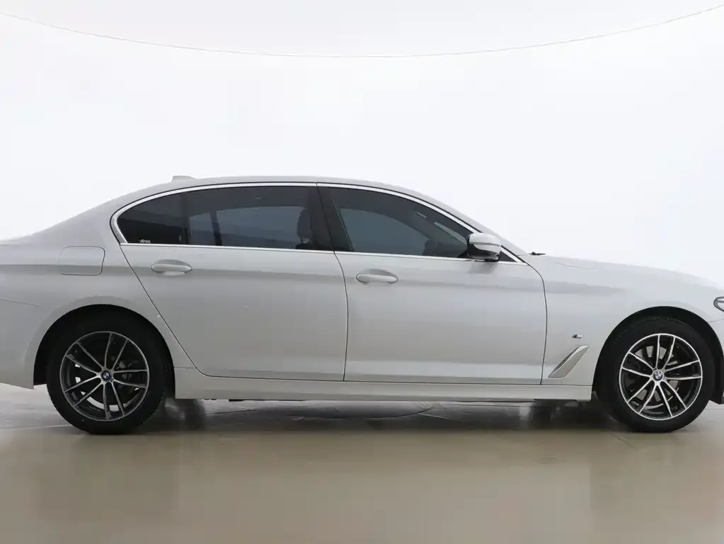 BMW 5 Series 2021 из CN, фото 8