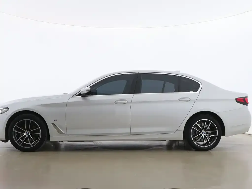 BMW 5 Series 2021 из CN, фото 6