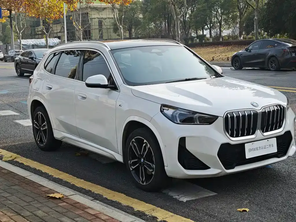 BMW X1 2024 из CN, фото 10