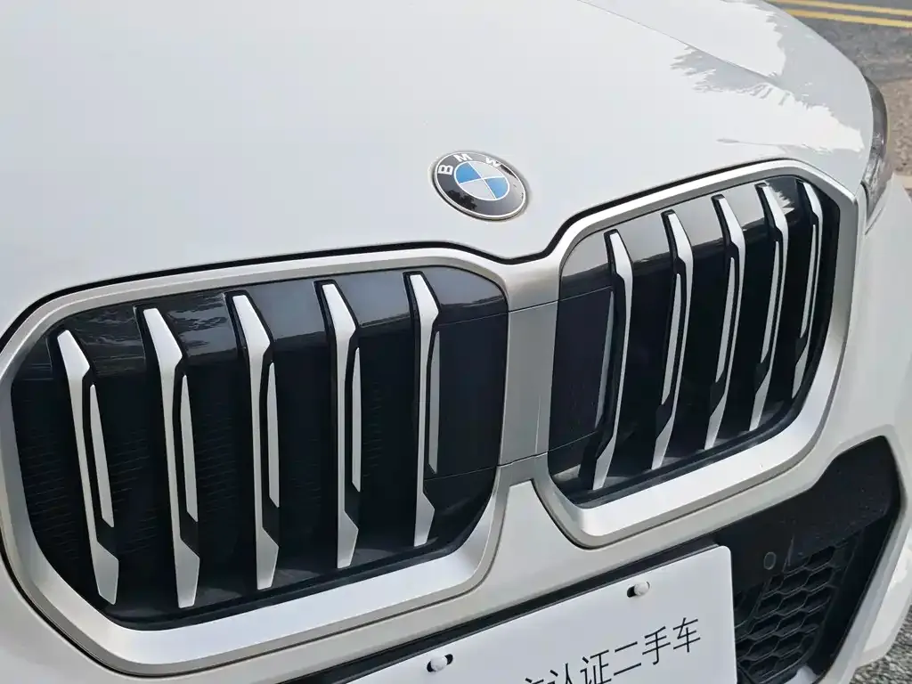BMW X1 2024 из CN, фото 8