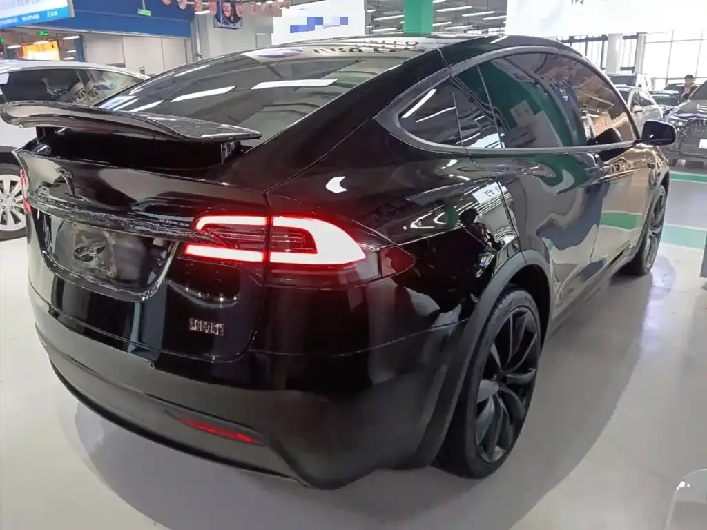 Tesla Model X 2021 из CN, фото 6